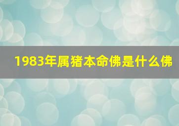 1983年属猪本命佛是什么佛