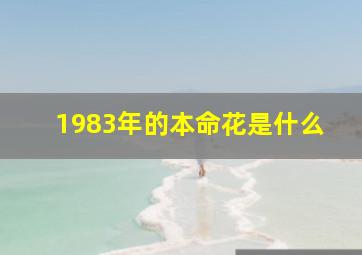 1983年的本命花是什么