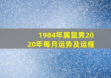 1984年属鼠男2020年每月运势及运程