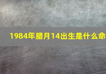 1984年腊月14出生是什么命