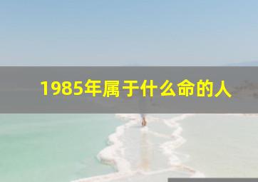 1985年属于什么命的人