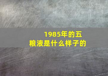 1985年的五粮液是什么样子的