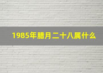 1985年腊月二十八属什么