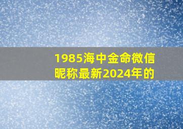 1985海中金命微信昵称最新2024年的