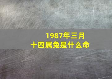 1987年三月十四属兔是什么命