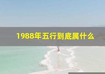 1988年五行到底属什么