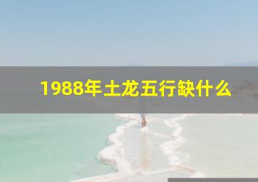 1988年土龙五行缺什么