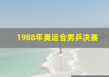 1988年奥运会男乒决赛