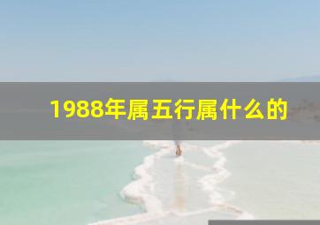 1988年属五行属什么的