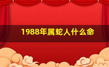 1988年属蛇人什么命