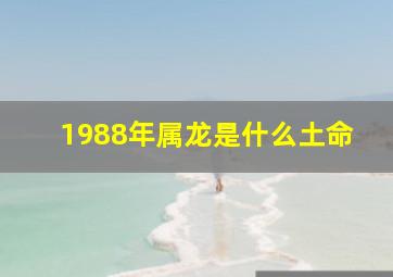 1988年属龙是什么土命