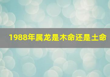 1988年属龙是木命还是土命