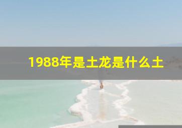 1988年是土龙是什么土