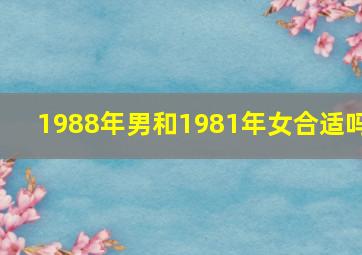 1988年男和1981年女合适吗