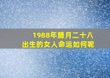 1988年腊月二十八出生的女人命运如何呢