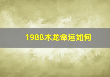 1988木龙命运如何