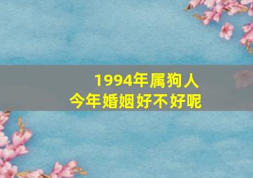 1994年属狗人今年婚姻好不好呢