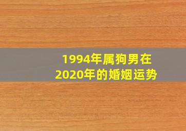 1994年属狗男在2020年的婚姻运势