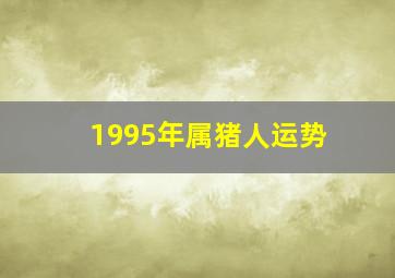 1995年属猪人运势