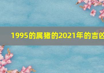 1995的属猪的2021年的吉凶