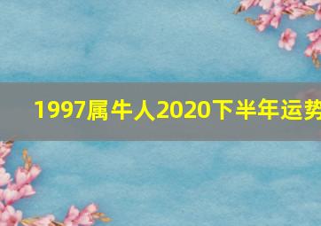 1997属牛人2020下半年运势