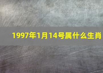 1997年1月14号属什么生肖