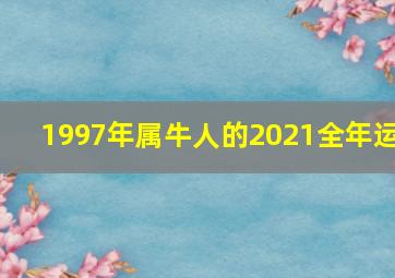 1997年属牛人的2021全年运