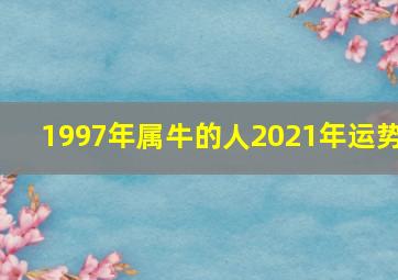 1997年属牛的人2021年运势