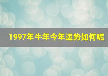 1997年牛年今年运势如何呢