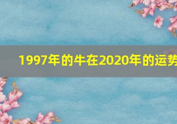 1997年的牛在2020年的运势