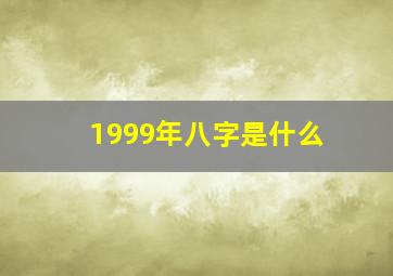 1999年八字是什么