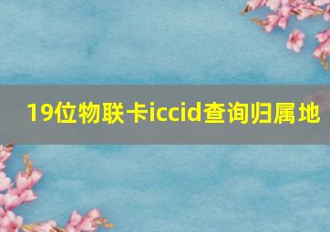 19位物联卡iccid查询归属地