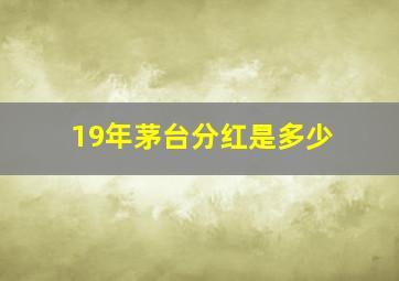 19年茅台分红是多少