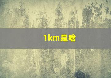 1km是啥