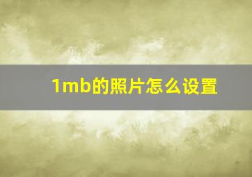 1mb的照片怎么设置