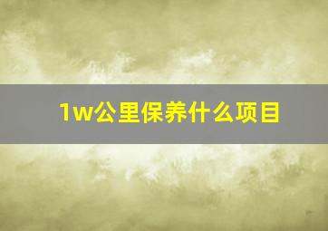 1w公里保养什么项目