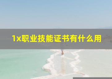 1x职业技能证书有什么用