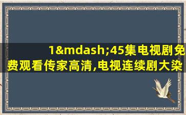 1—45集电视剧免费观看传家高清,电视连续剧大染坊