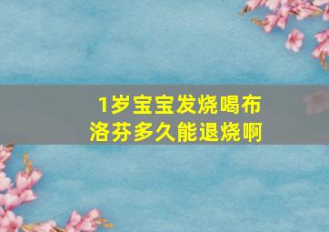 1岁宝宝发烧喝布洛芬多久能退烧啊