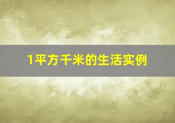 1平方千米的生活实例