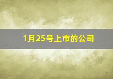 1月25号上市的公司