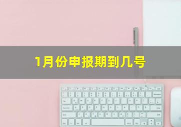 1月份申报期到几号