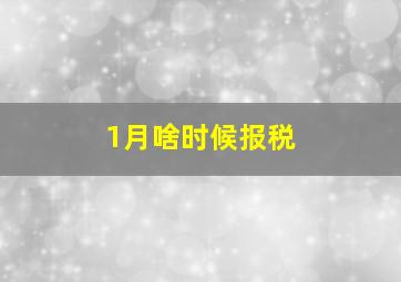 1月啥时候报税