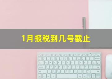 1月报税到几号截止