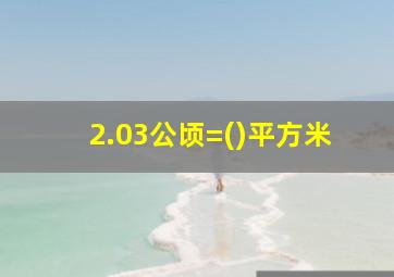 2.03公顷=()平方米