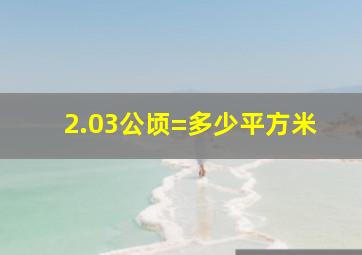 2.03公顷=多少平方米