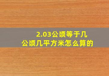 2.03公顷等于几公顷几平方米怎么算的