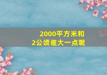 2000平方米和2公顷谁大一点呢