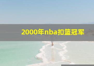 2000年nba扣篮冠军