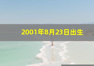 2001年8月23日出生